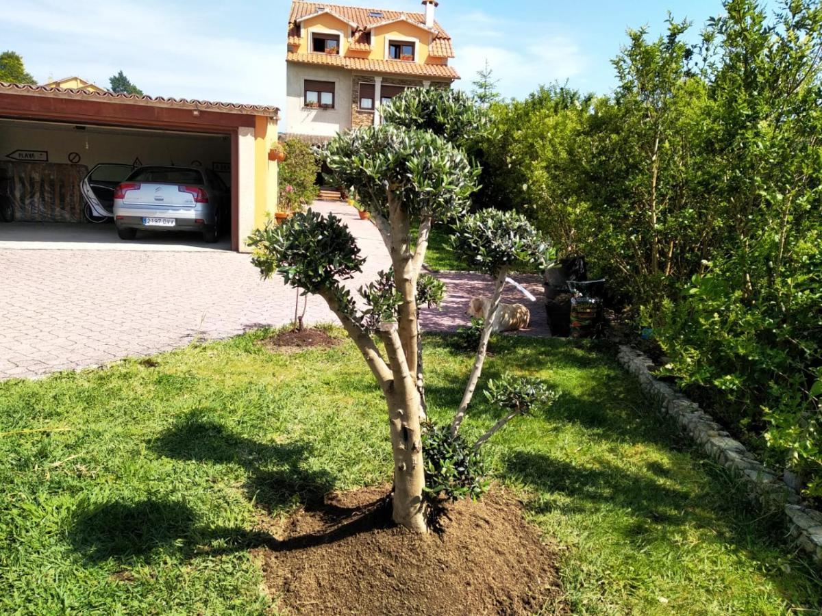 Apartamento Casa A Brana O Grove Exterior photo